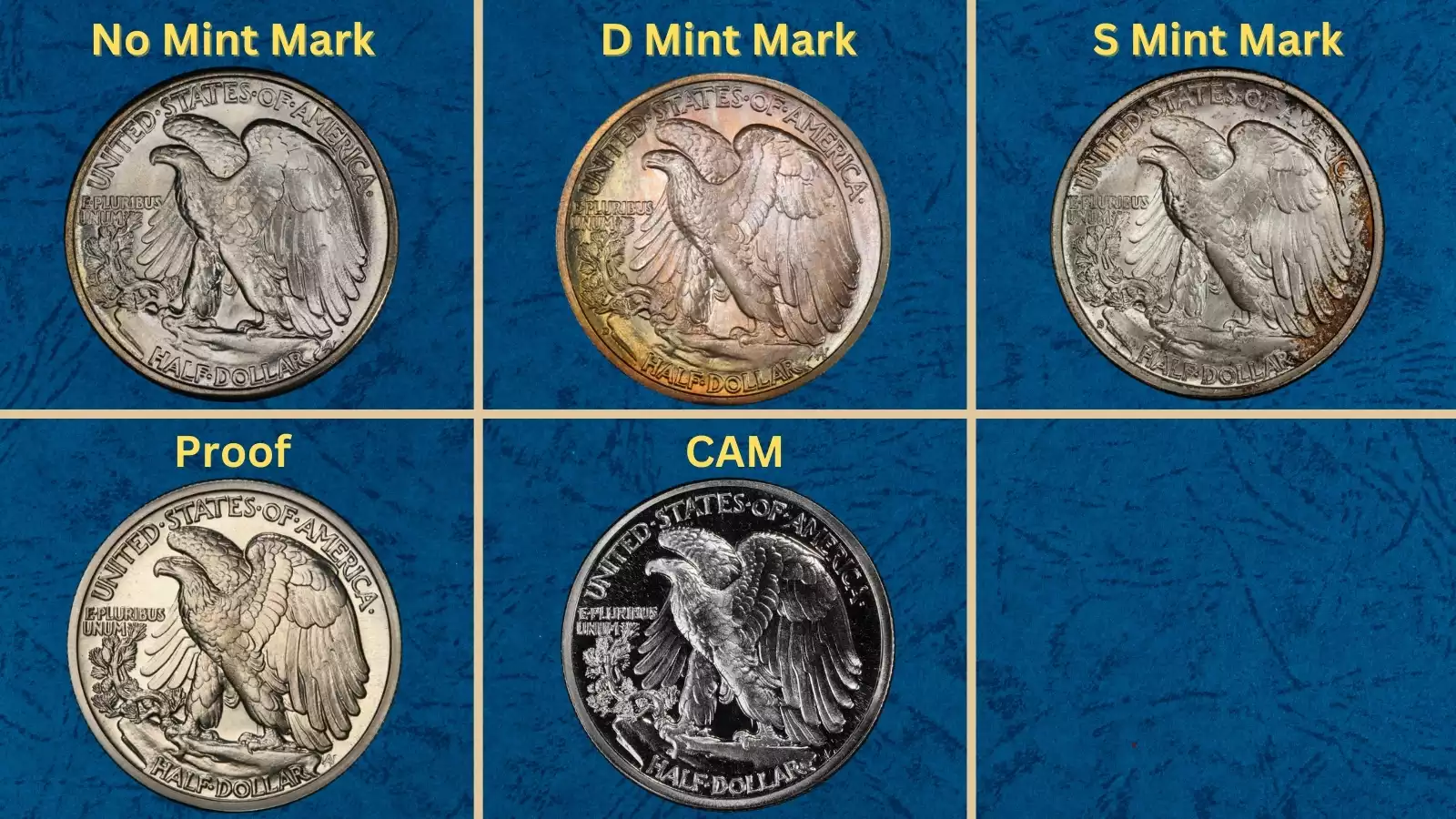 1942 Walking Liberty Half Dollar grading strip showing four condition tiers: Worn (Good), Fine-VF, About Uncirculated (AU), and Gem Uncirculated (MS) side by side